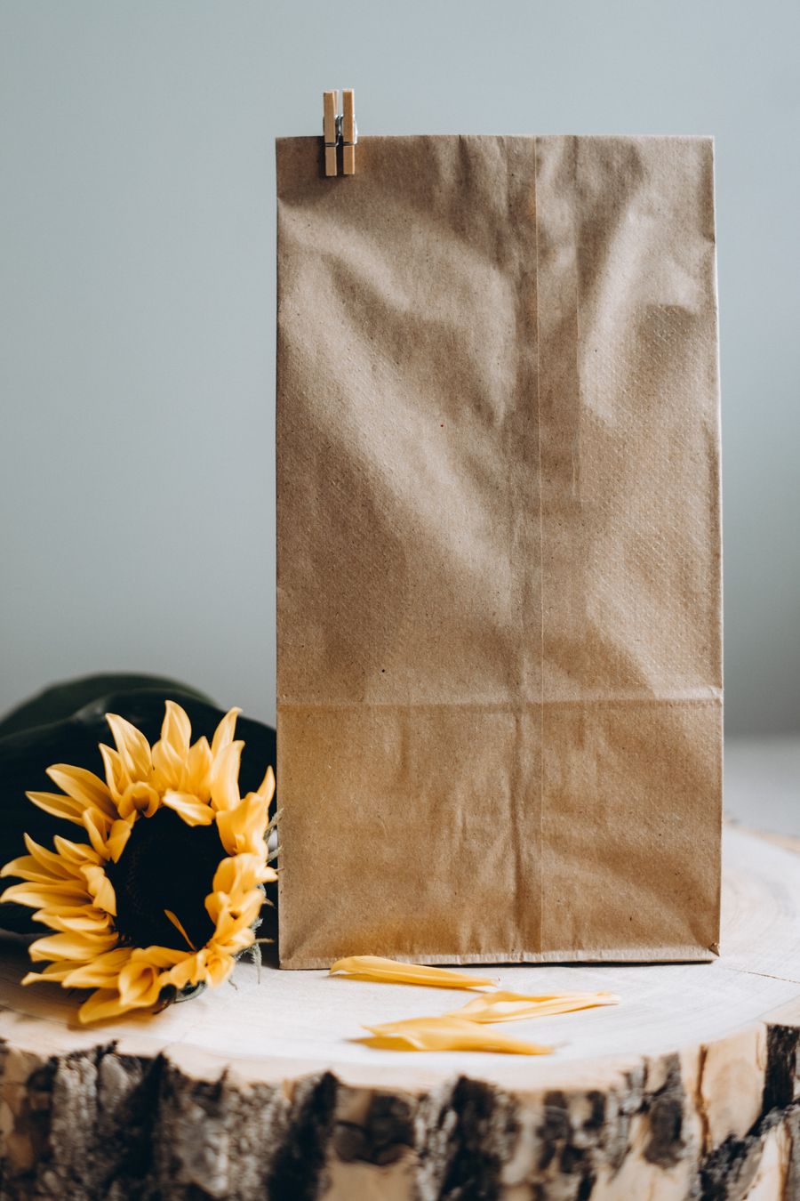 Plain brown kraft flat counter bag
